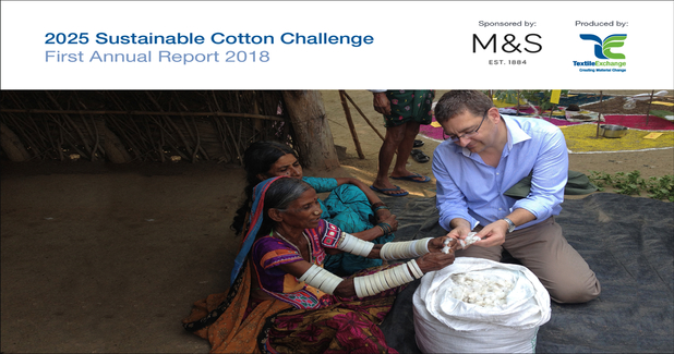 TE’s 2025 Sustainable Cotton Challenge Report