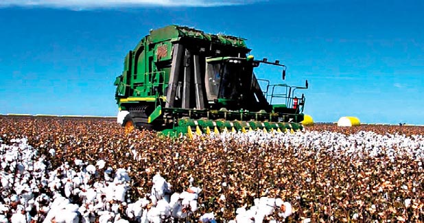 Cotton harvest and lower yields