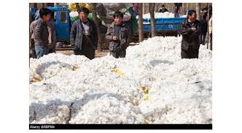 China to restart cotton auctions soon? China to restart cotton auctions soon?