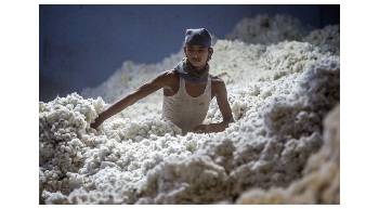 Cotton consumption to scale new peak