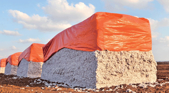 Cotton woes pile up