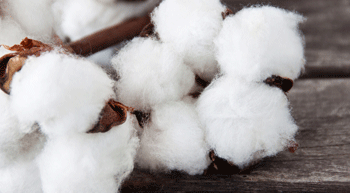 Cotton prices to remain subdued