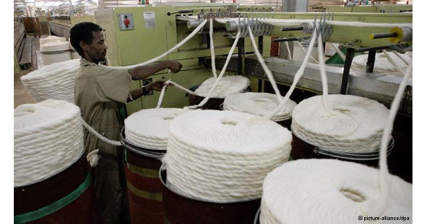 Ethiopia earns $31.2 million in exports