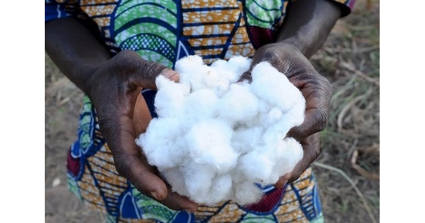 Hakro to buy CmiA-certified cotton