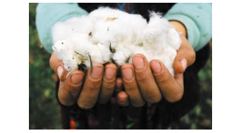 Organic cotton meet in Germany