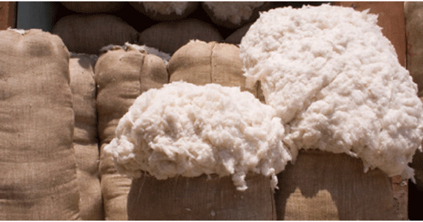 PCGA rejects proposed withdrawal of cotton import duties