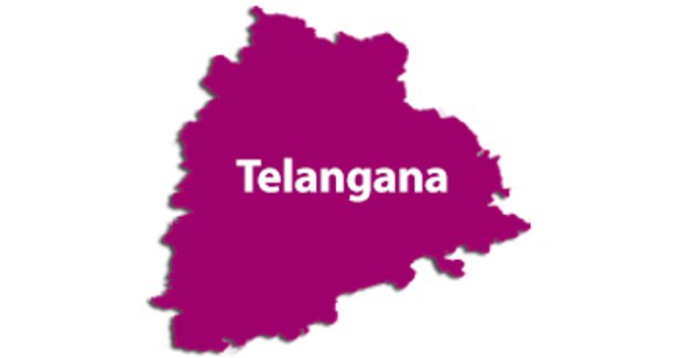 Telengana offers sops for textiles