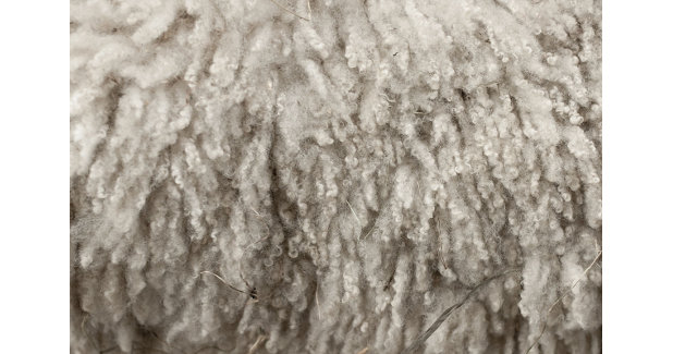 Wool demand continues to grow in EU, US