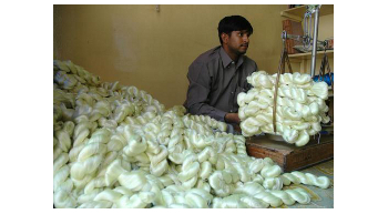 Zero raw silk import by 2020: CSB