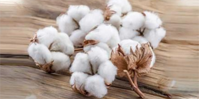 ASTM proposes new testing standard for cotton fibre