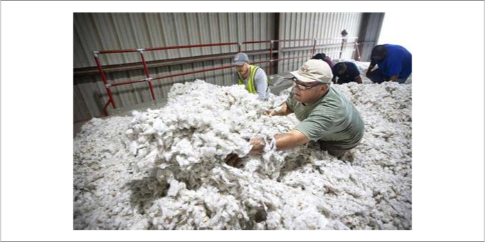 Cotton contamination up reveals ITMF survey