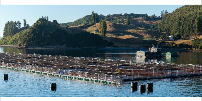 Garware’s aquaculture products in high demand globally