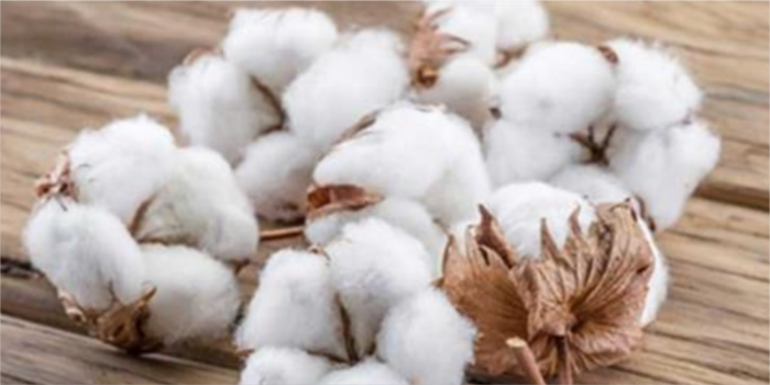 High cotton prices hurting Pak textile industry
