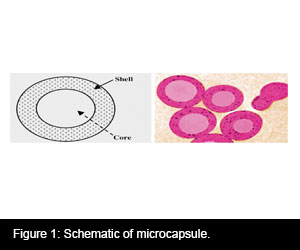 Microencapsulation & its application in finishing