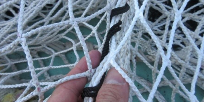 World’s 1st fishing net made with UHMWPE film