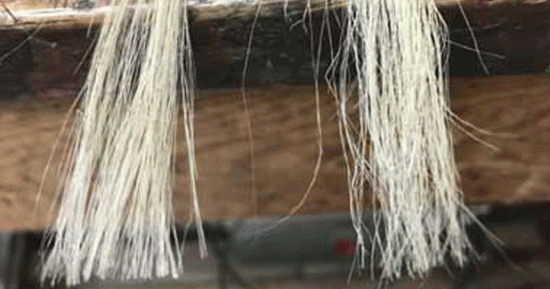 Jute reinforced PLA bio-composite for production of ceiling fan blades