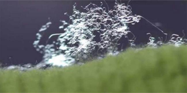 Microfibres: The macro menace