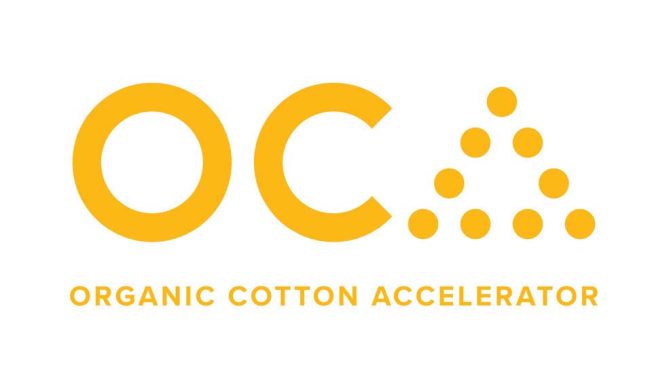 Punit Lalbhai joins Organic Cotton Accelerator’s board