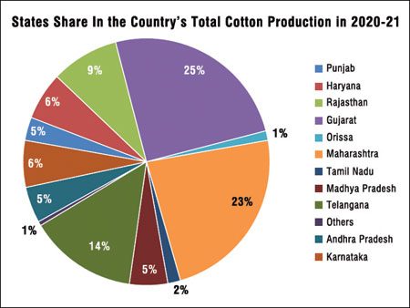 The cotton tantrum - Indian Textile Journal