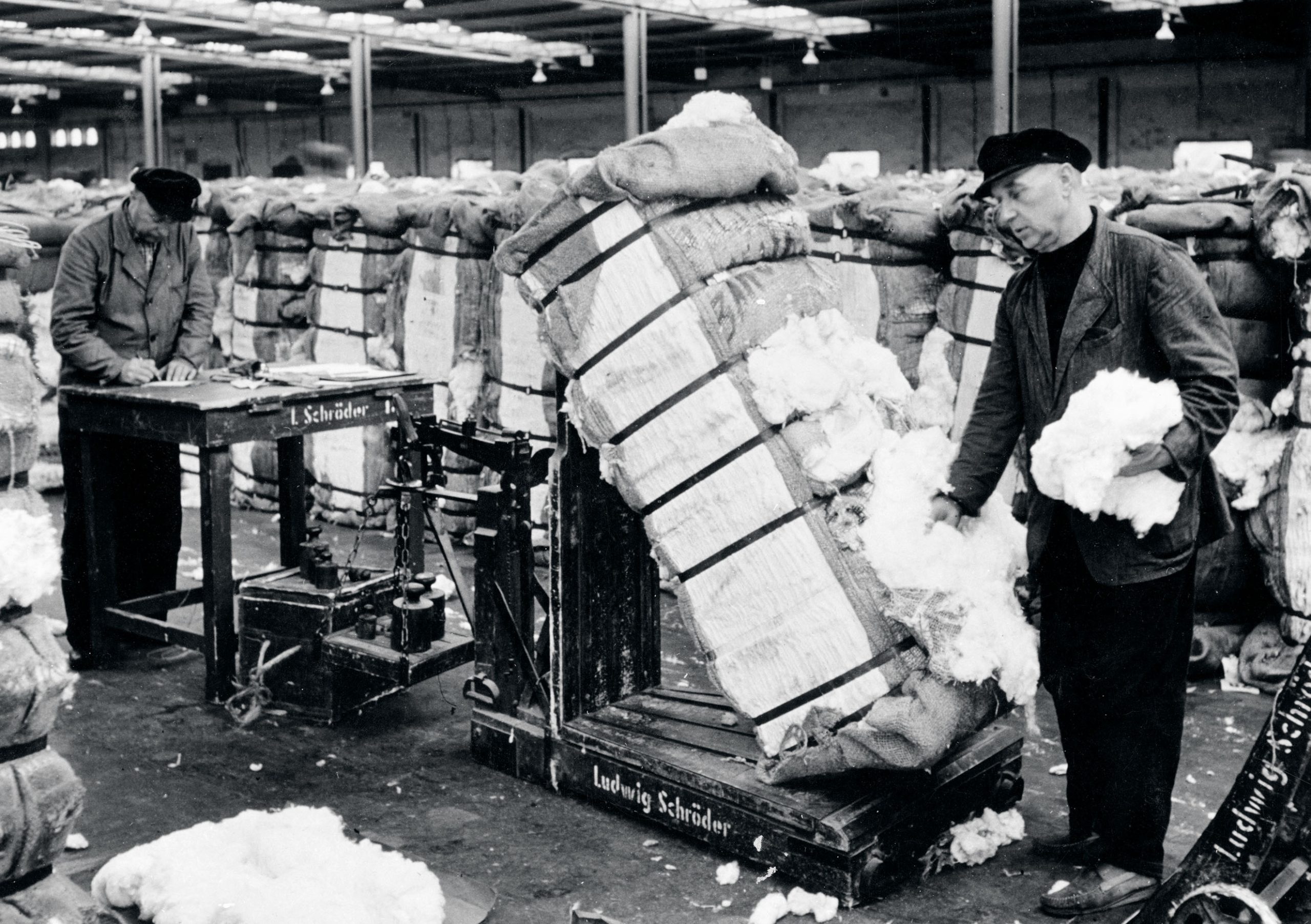 Cotton – the unique natural fibre