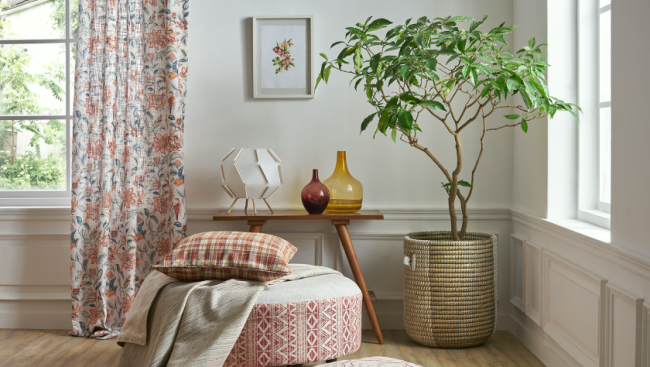 Nesterra is set to unveil new collection  Â