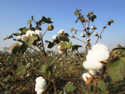 Textiles need demand uptick
