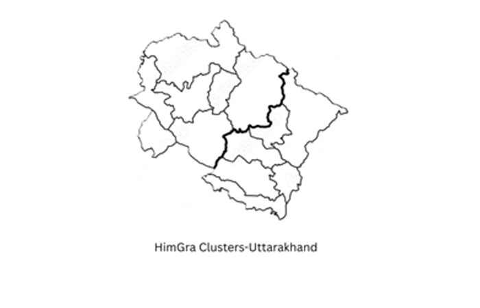 When Luxury Chose Fibre