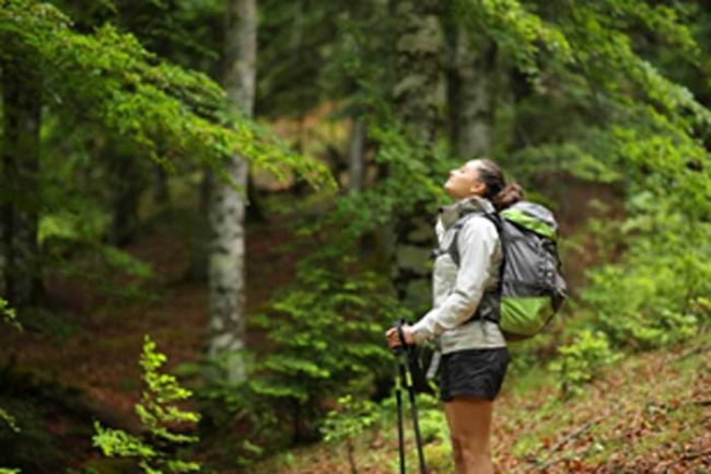 eVent Fabrics expands line with new stormburstLT for weather protection