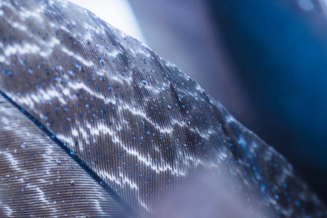 Reviving Ludhiana’s textile industry with technical textiles