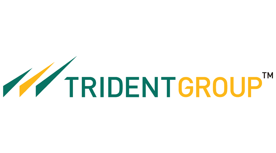 Texprocil honours Trident for highest global exports